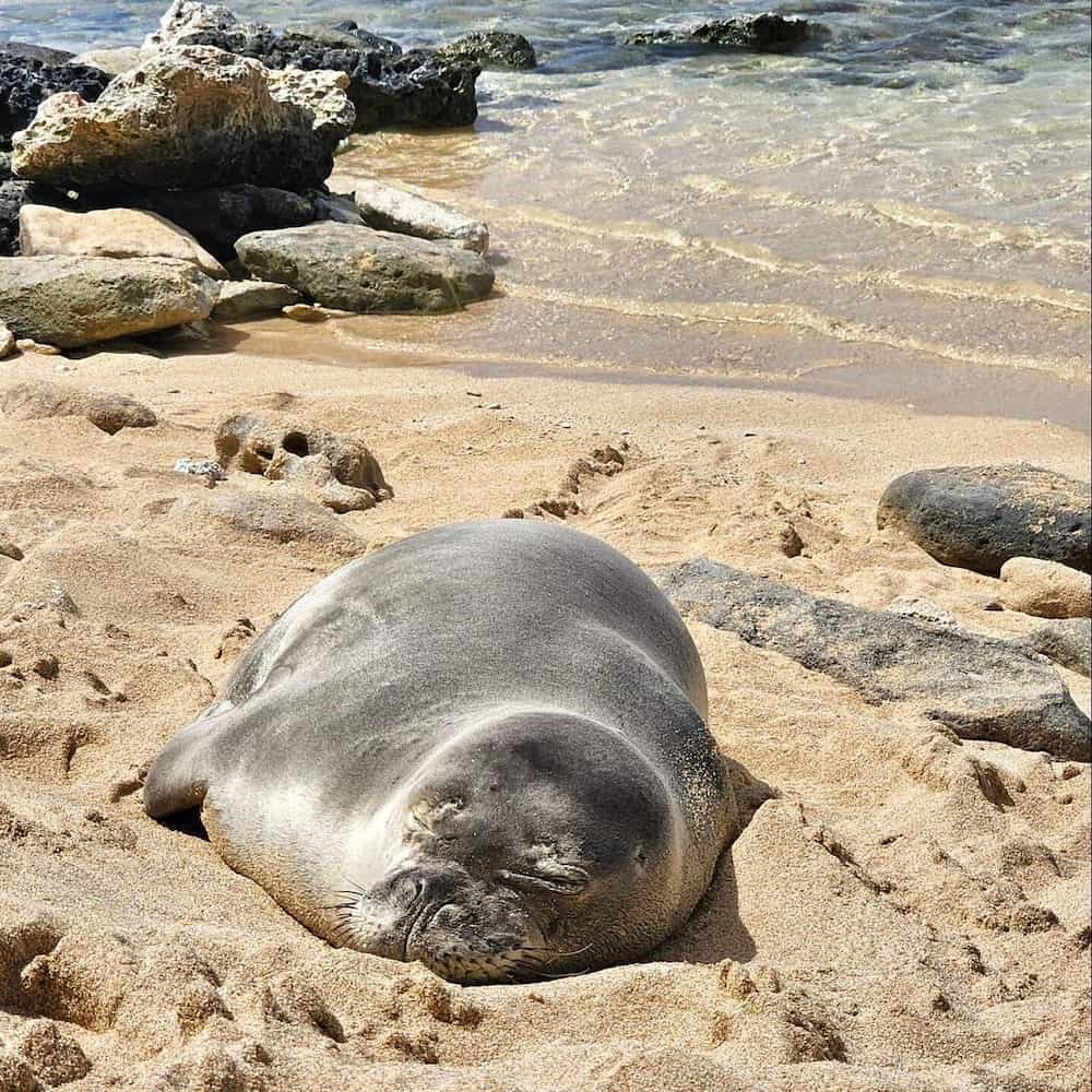 Oahu, Hawaï