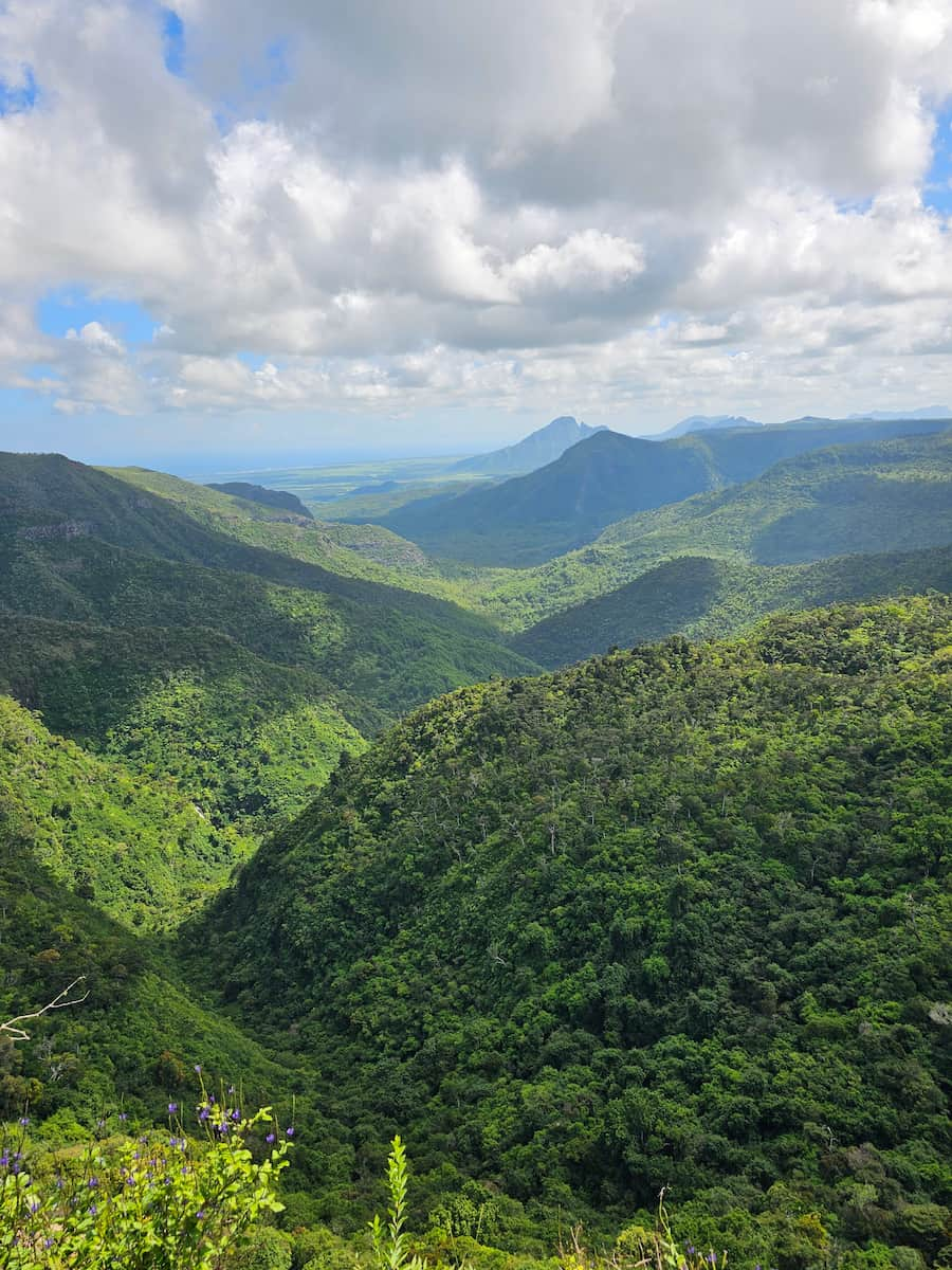 Parc national des gorges de la rivière Noire