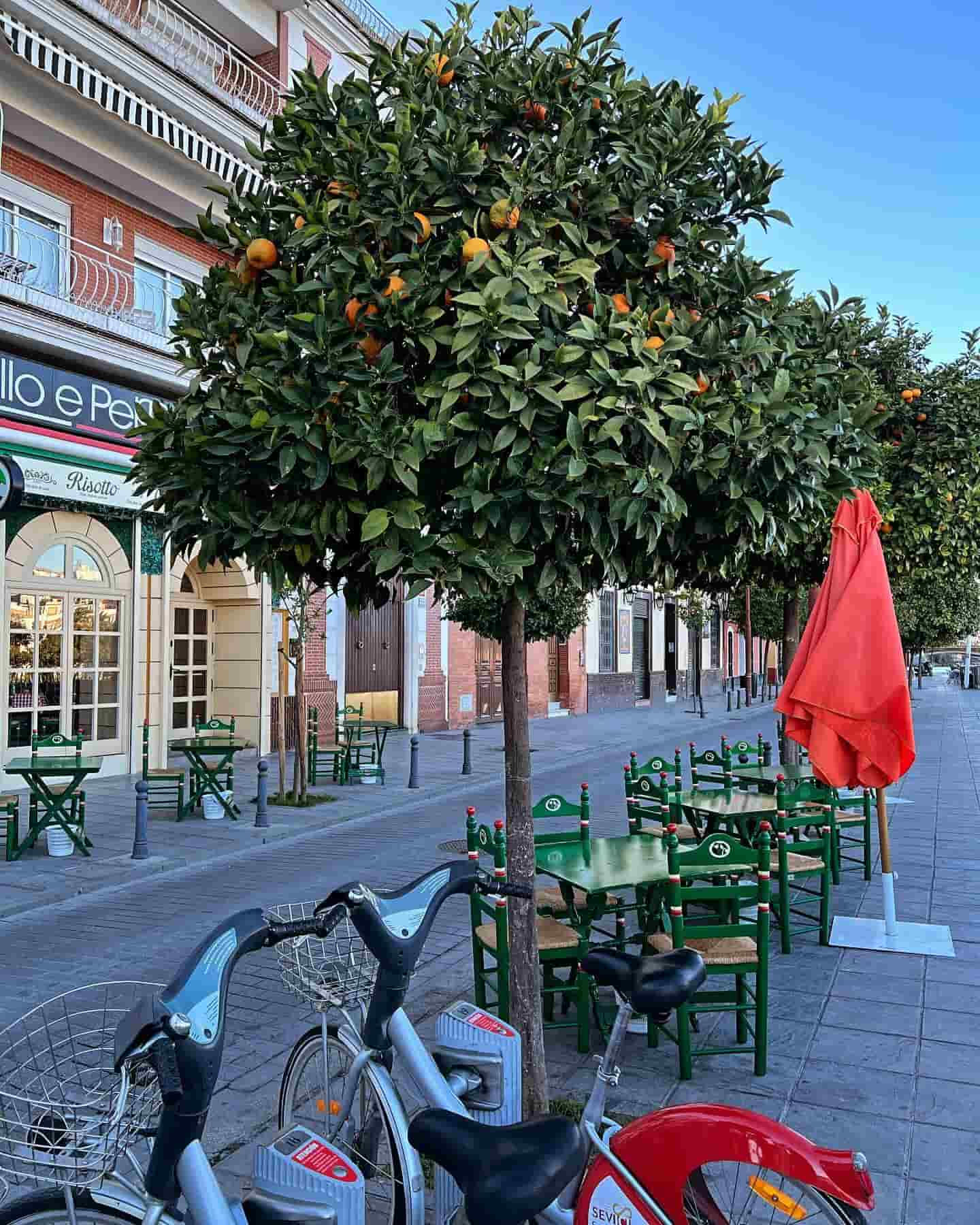 Calle Beti, Séville, Espagne