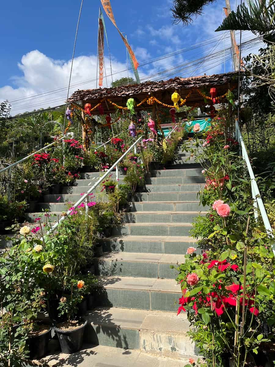 Mae Rim, Chiang Mai