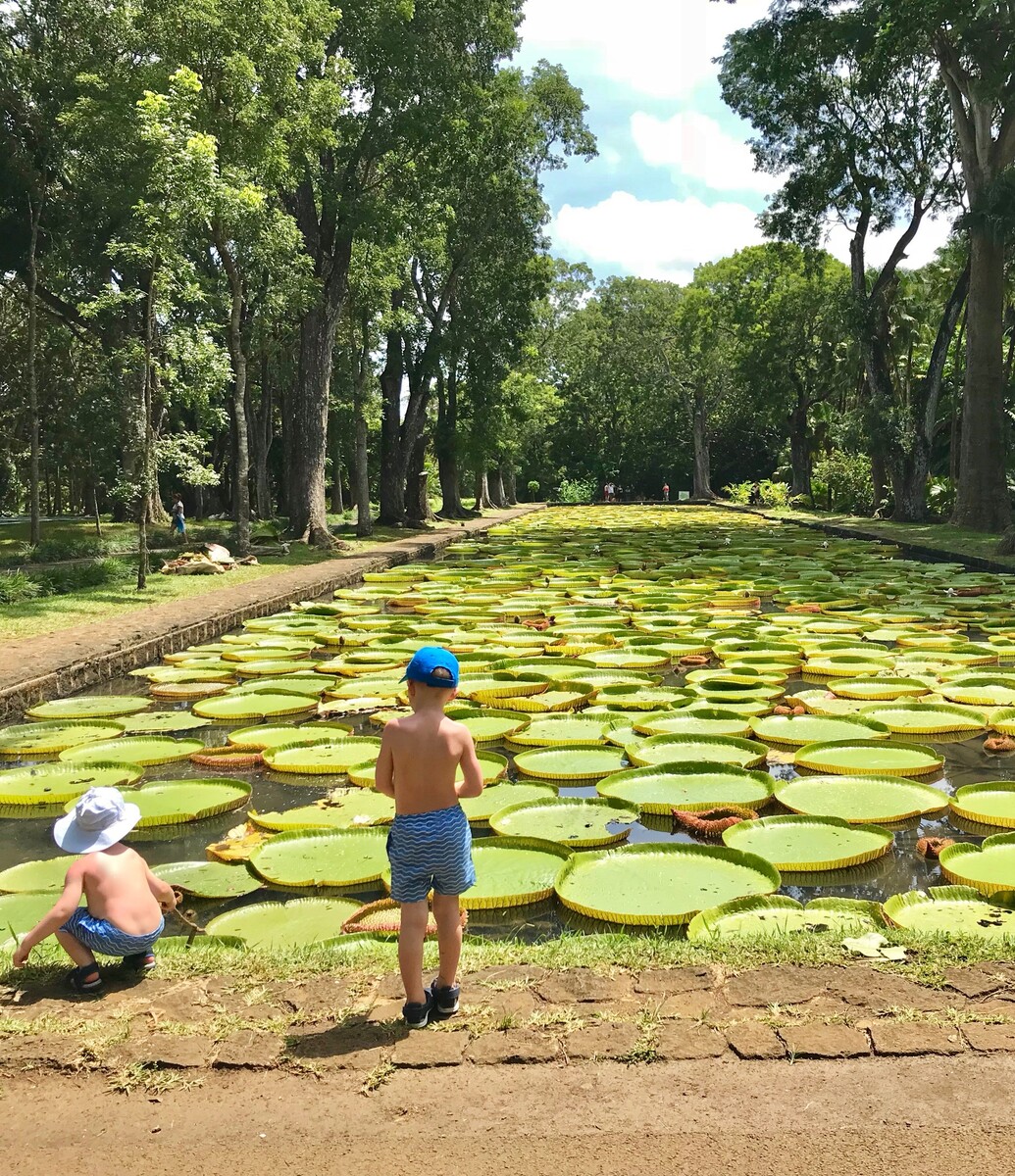 Jardin botanique de Pamplemousses