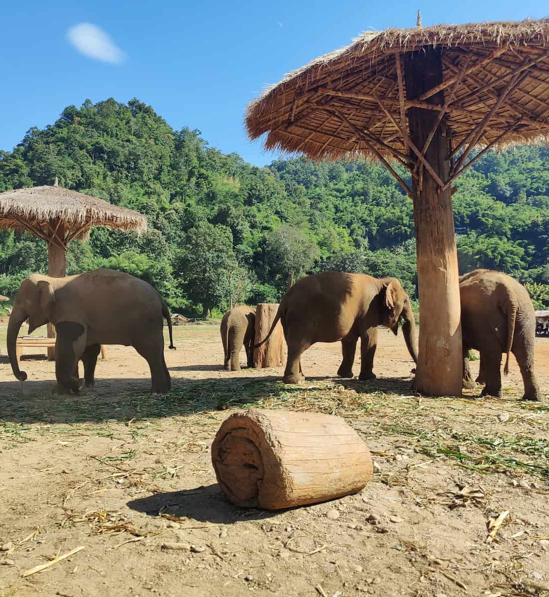 Saraphi, Chiang Mai