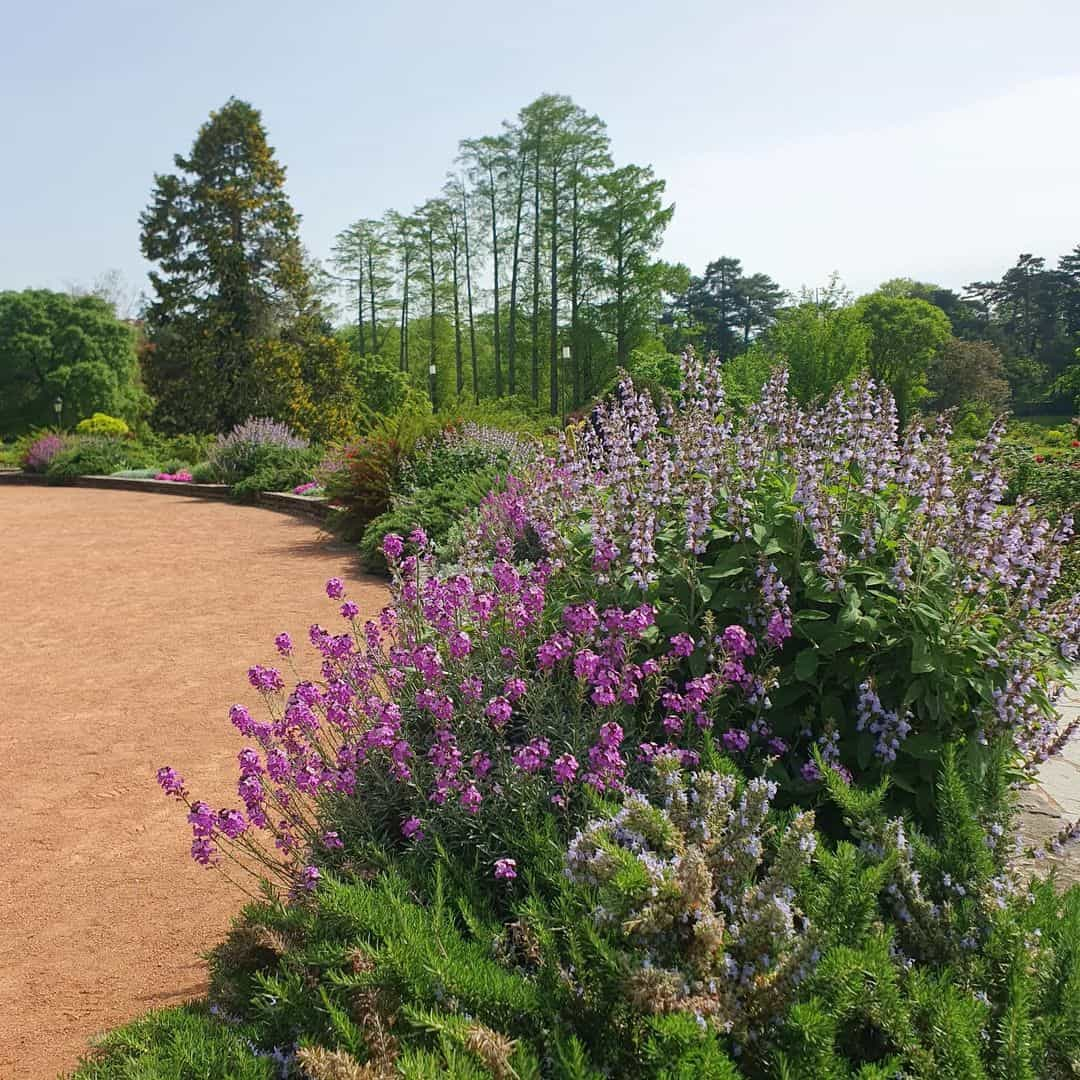 Parc de la Tête d'Or