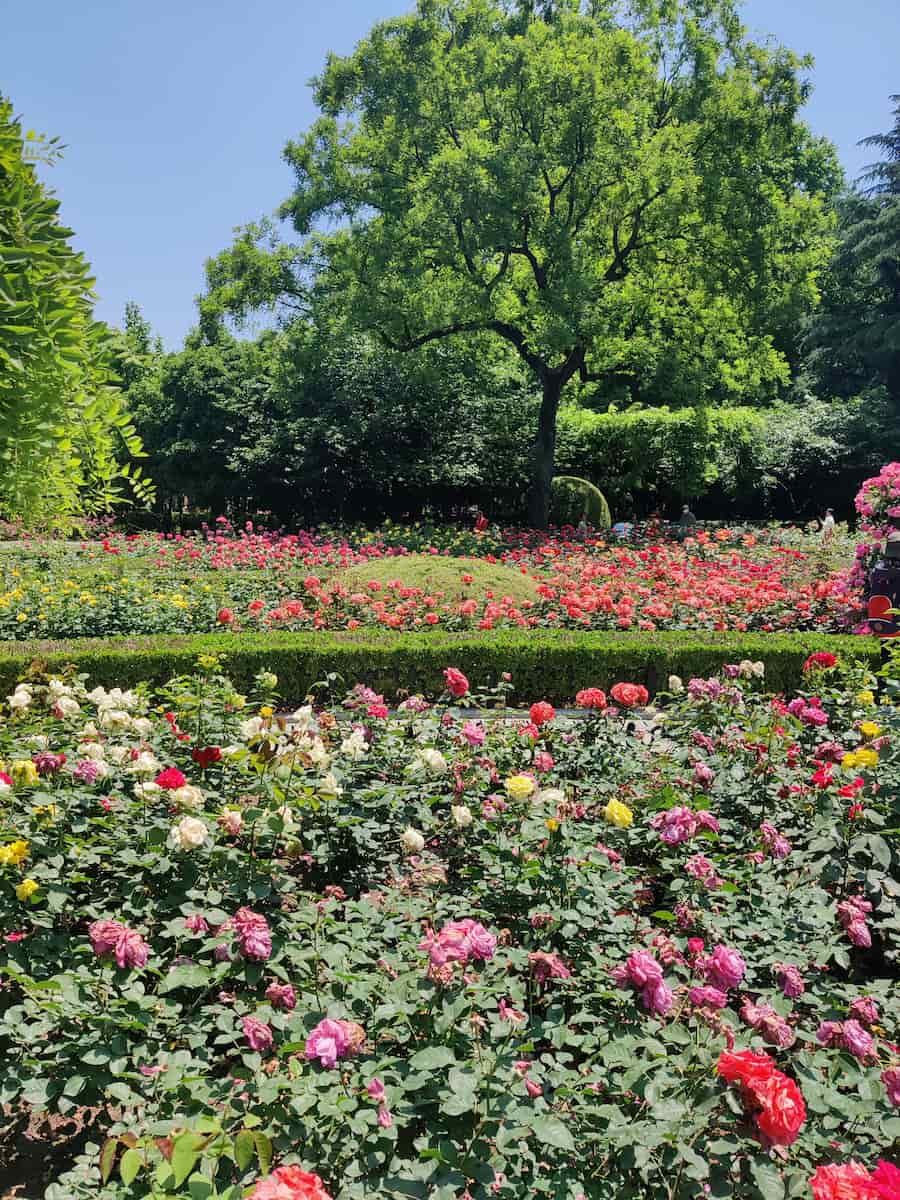 Fuxing Park, Shanghai